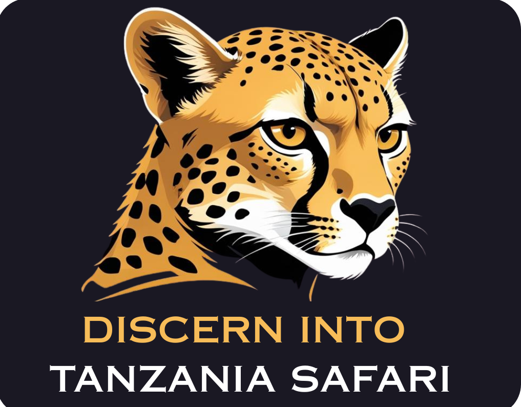 INTO TANZANIA SAFARI Logo